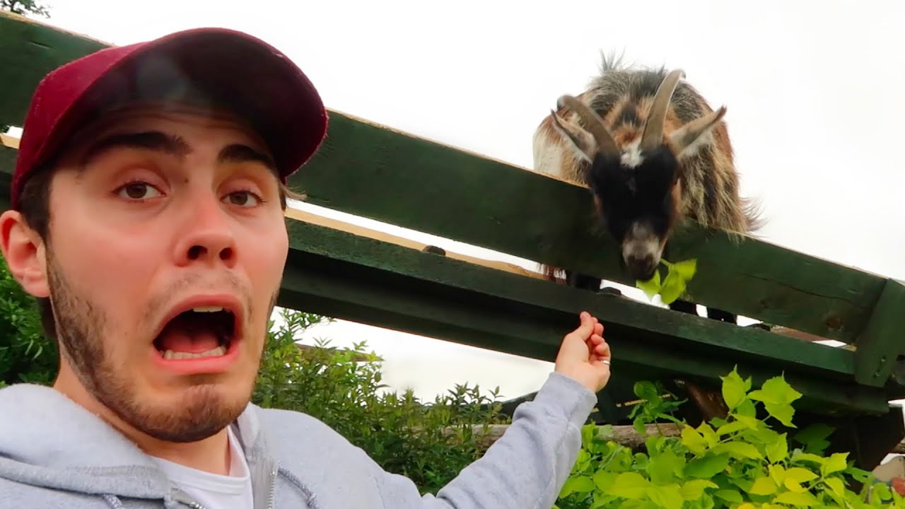 MAKING FRIENDS WITH A GOAT!!
