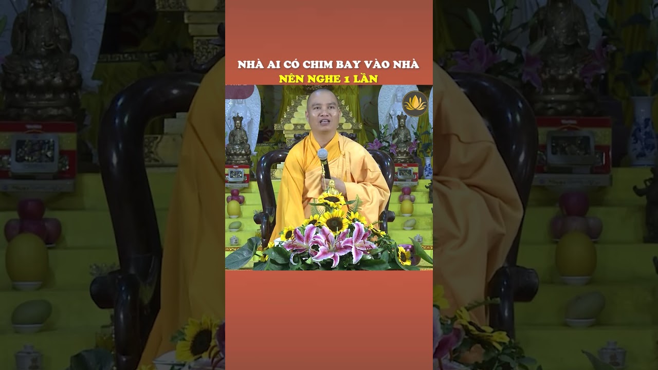 NH&Agrave; AI C&Oacute; CHIM BAY V&Agrave;O NH&Agrave; N&Ecirc;N NGHE 1 LẦN #thaydaothinh  #giangphap #podcast
