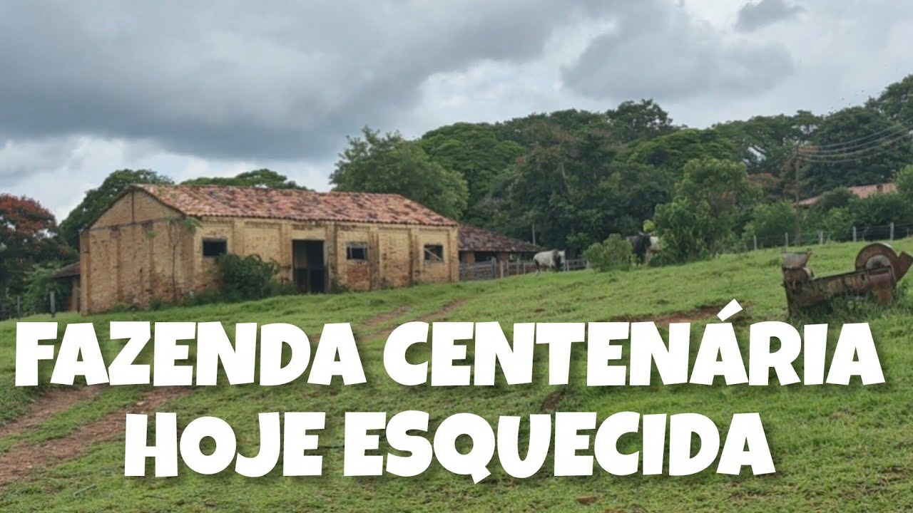 FAZENDA GRAMINHA | TULHA DE CAFÉ CENTENÁRIA, RETIRO ANTIGO E PAISAGENS RURAIS 
