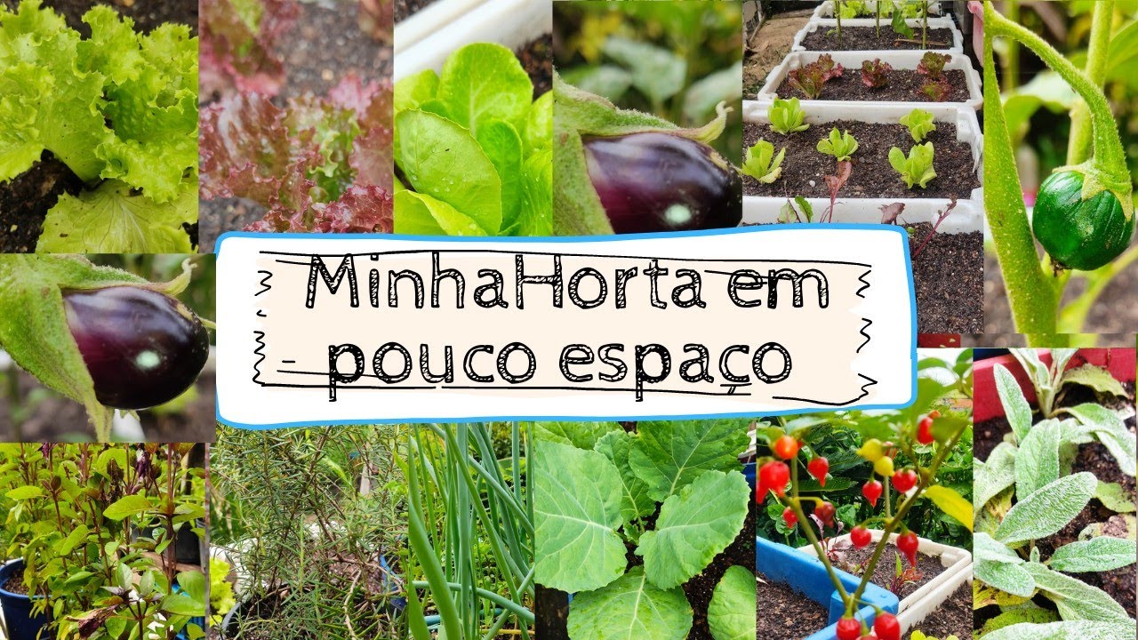 #tour na minha horta finalizada muita verduras legumes  temperos e hortaliças aqui com pouco espaço