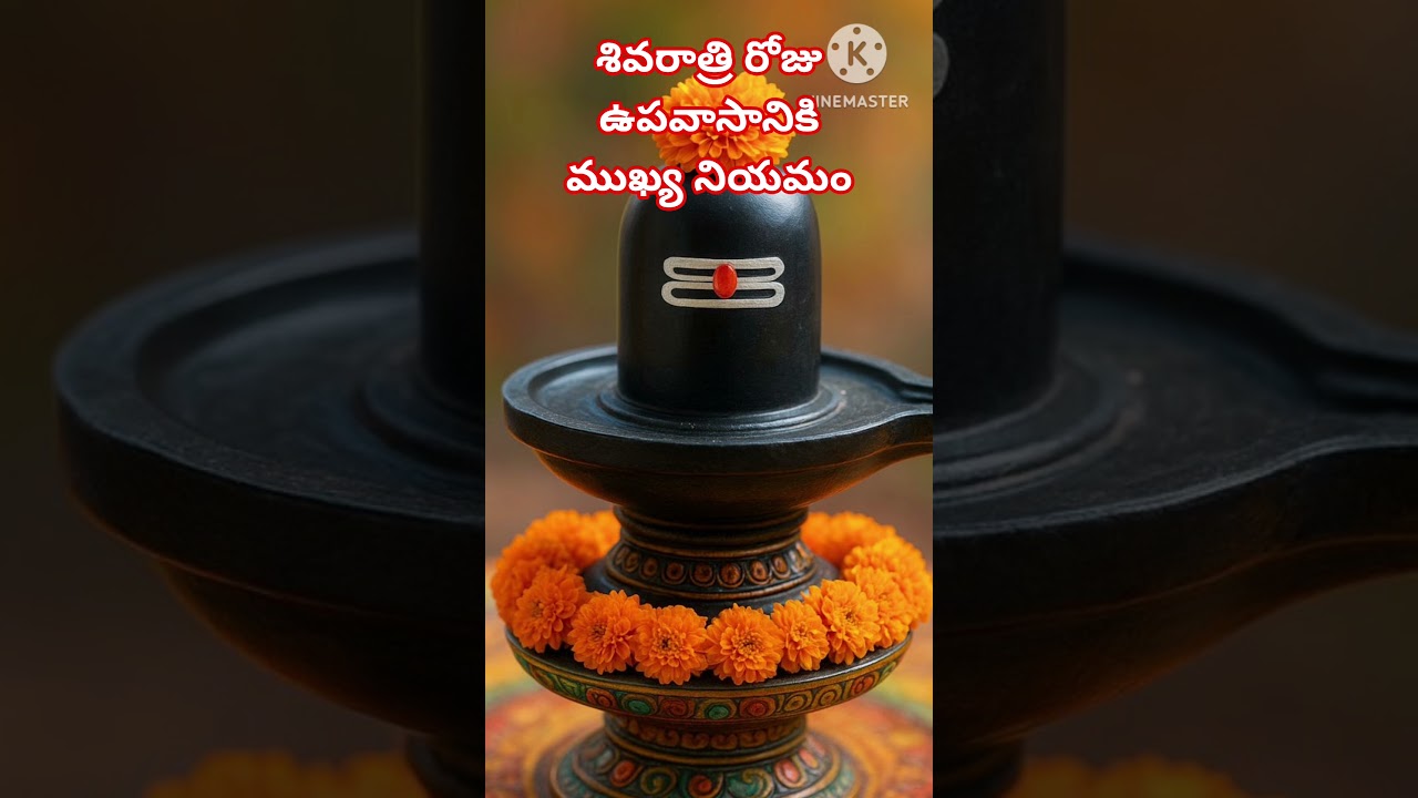 శివరాత్రి రోజు ఉపవాసానికి ముఖ్య నియమం #shorts #ytshorts #sivarathri #sivaratri #trending #viral