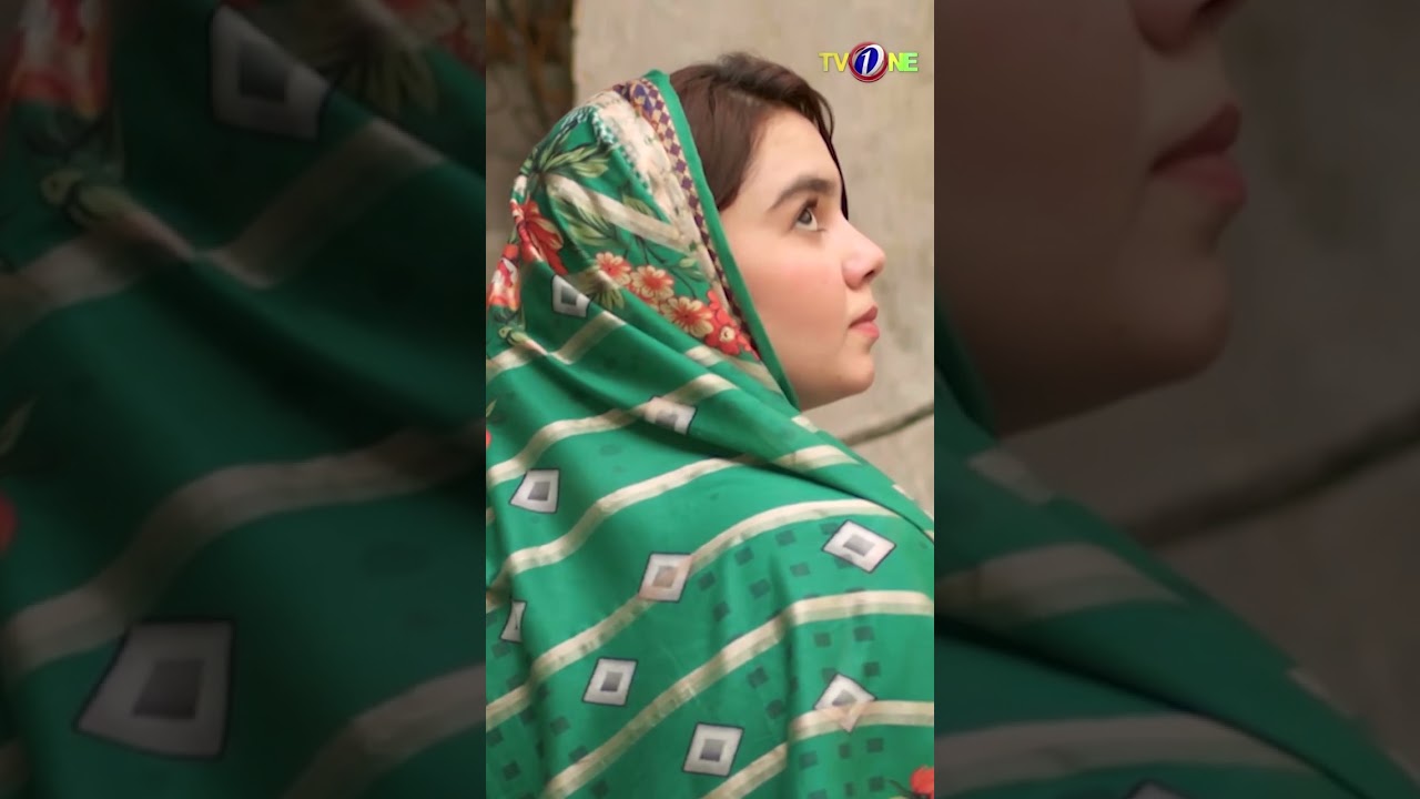 Mochi Gate |  Best Romantic Drama Clip  | Tv One #shorts  #tvonepk #mochigate