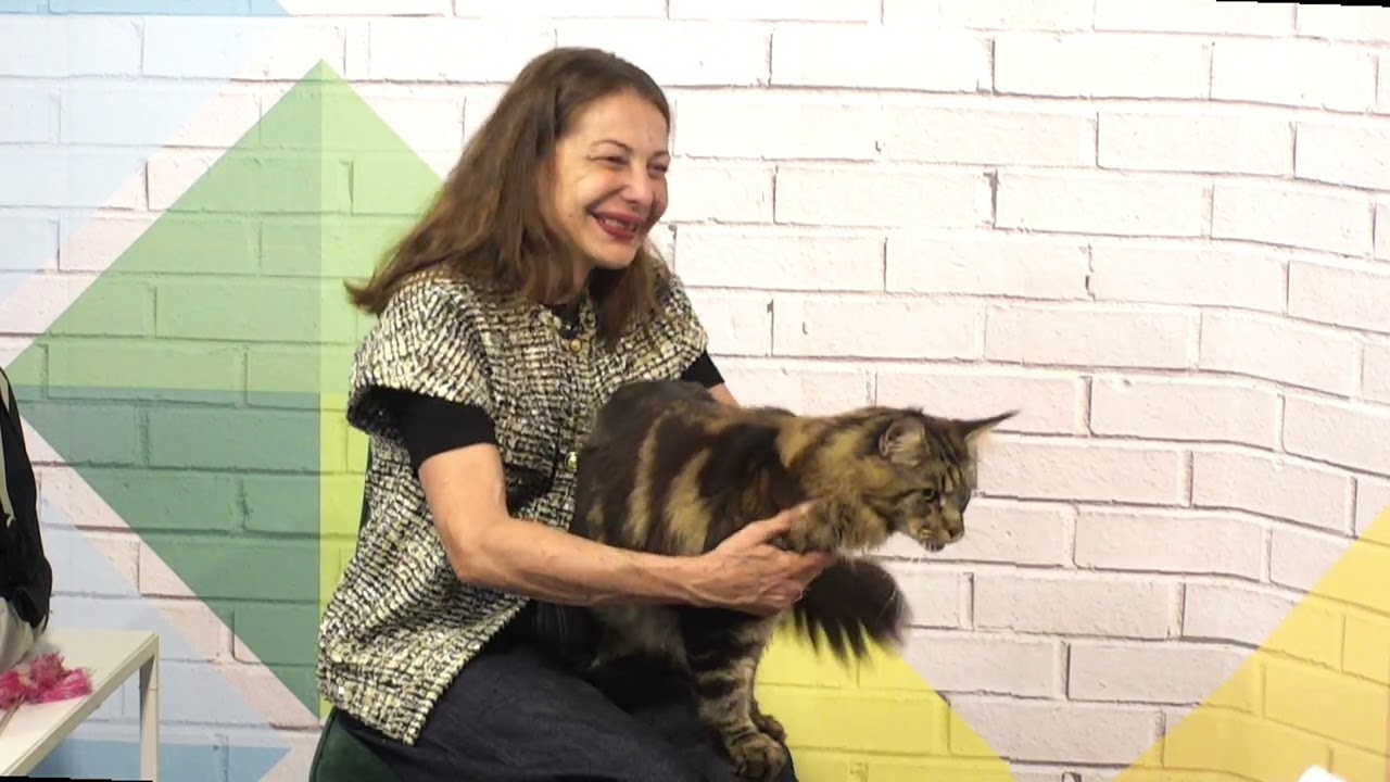 El Magazine (20/02/2026) parte 3 - Raquel Córdoba - Día del Gato