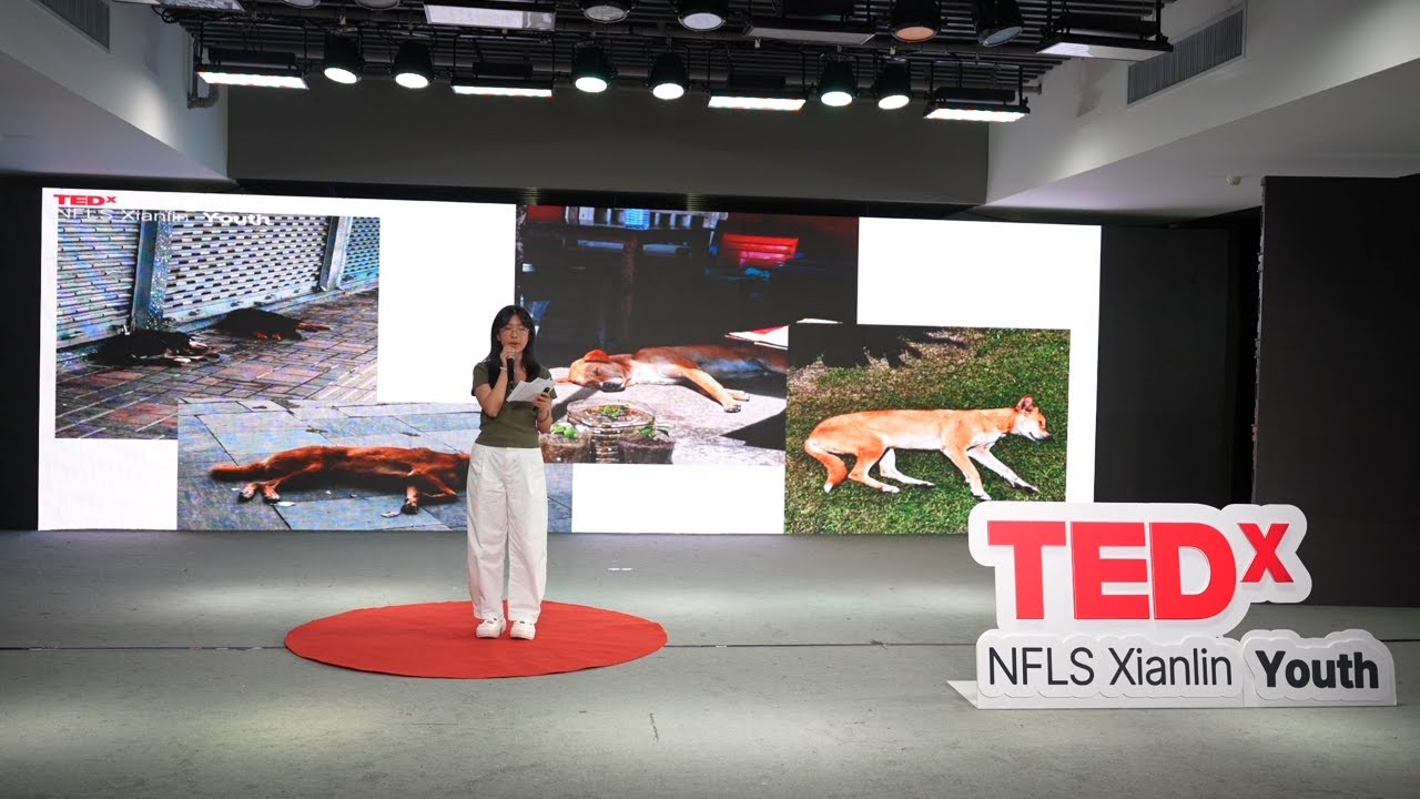 The Dialectical Relationship Between Emotion and Rationality | Jingjia Chen | TEDxNFLS Xianlin Youth