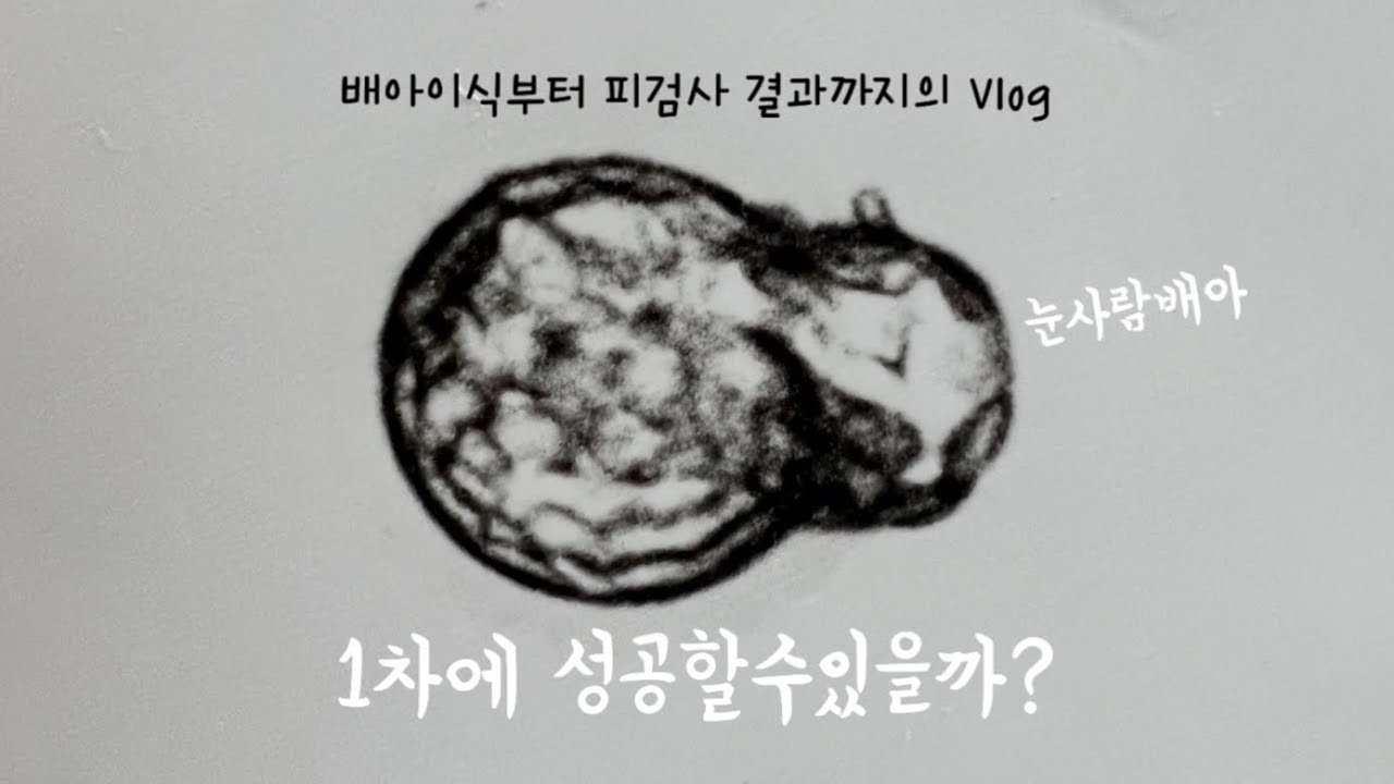[난임VLOG] 처음해보는 이식 설레는 마음/배아이식 후 일상/5일배양이식/분당차병원/눈사람배아/동결1차/피검사/착상에도움되는추어탕먹으러가기/봉담산골/배아이식브이로그/배아이식/난임