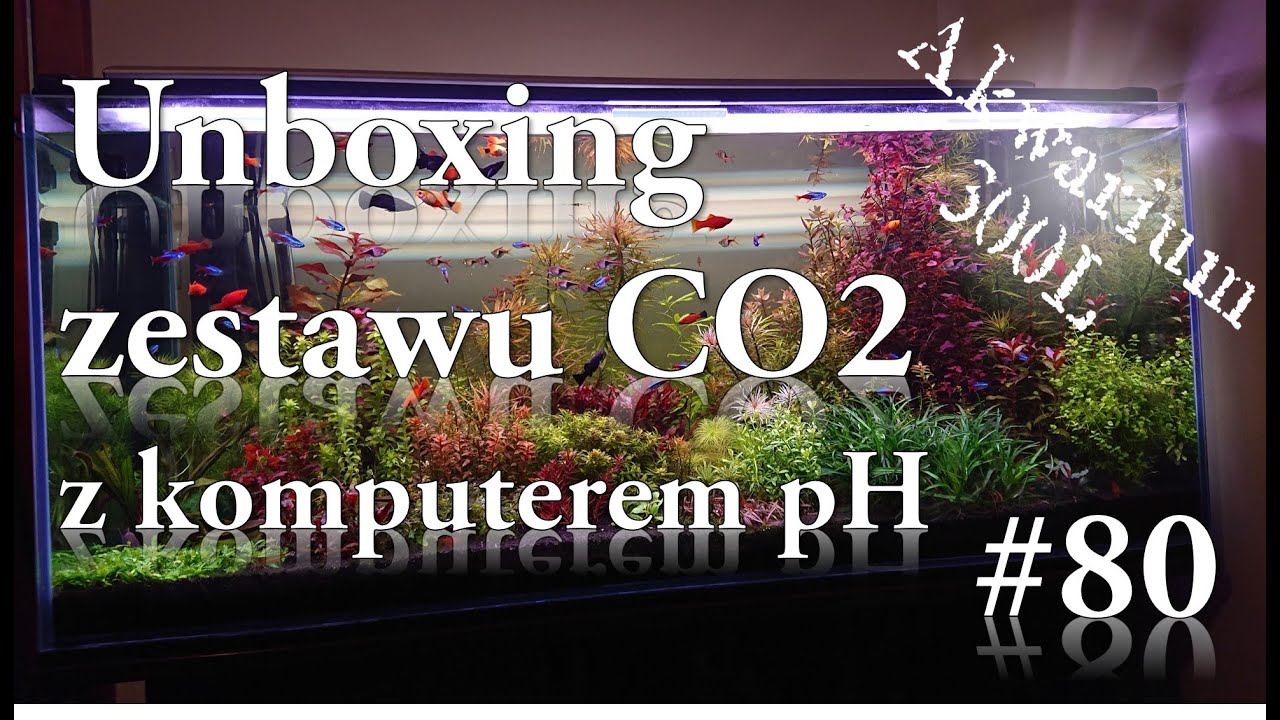 Akwarystyka - 080. Unboxing i montaż zestawu Aquario CO2 z komputerem pH