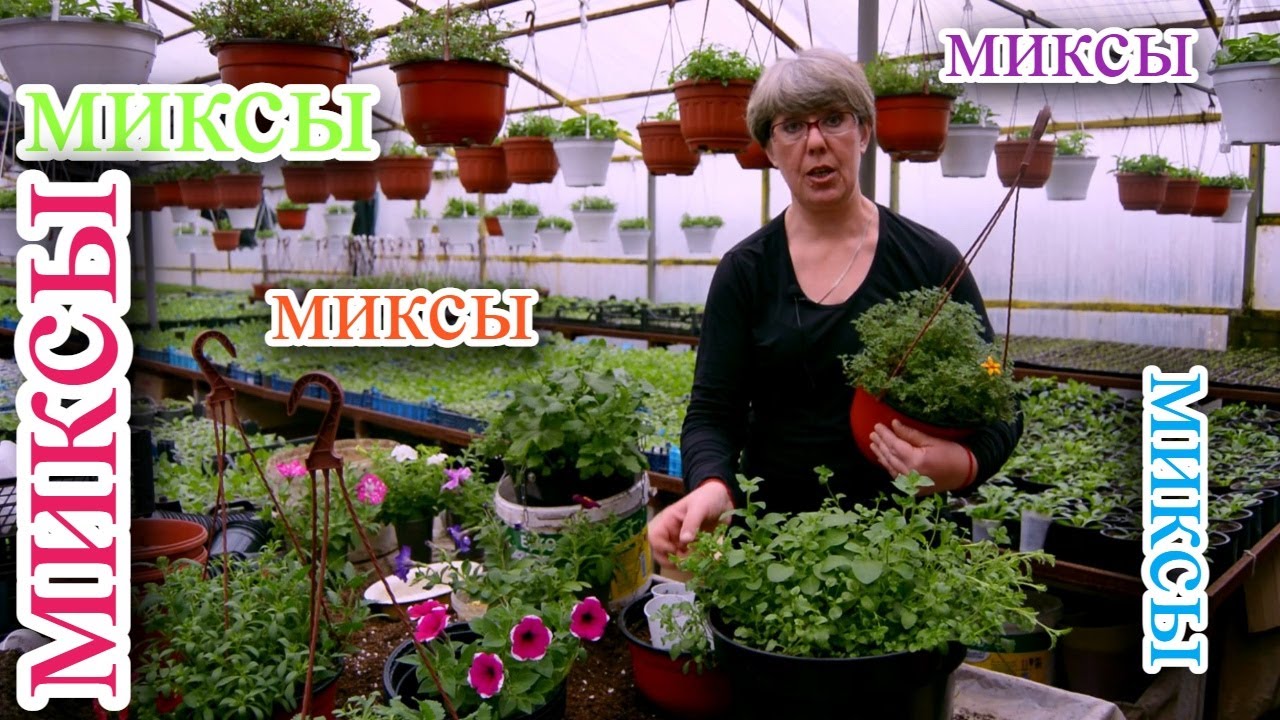 Миксуют все! Миксуем кашпо и не боимся! Результатом удивитесь сами!