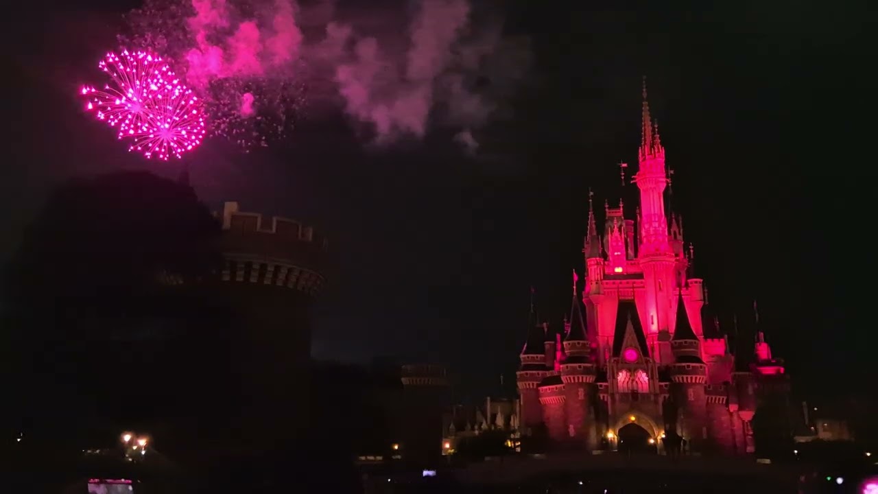 [COMPLETE] Sky Full of Colors - Tokyo Disneyland 