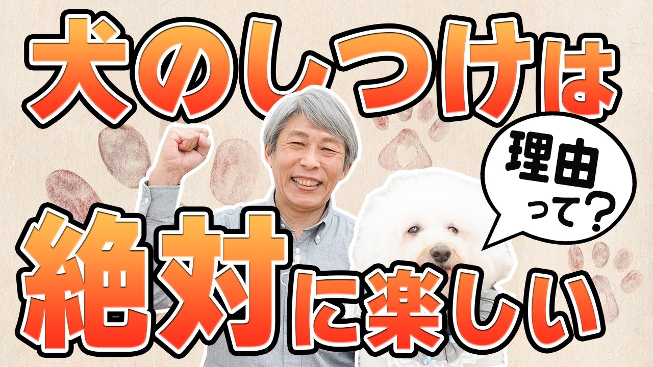 犬と暮らす人みんなに伝えたい。“犬のしつけは絶対に楽しい”理由