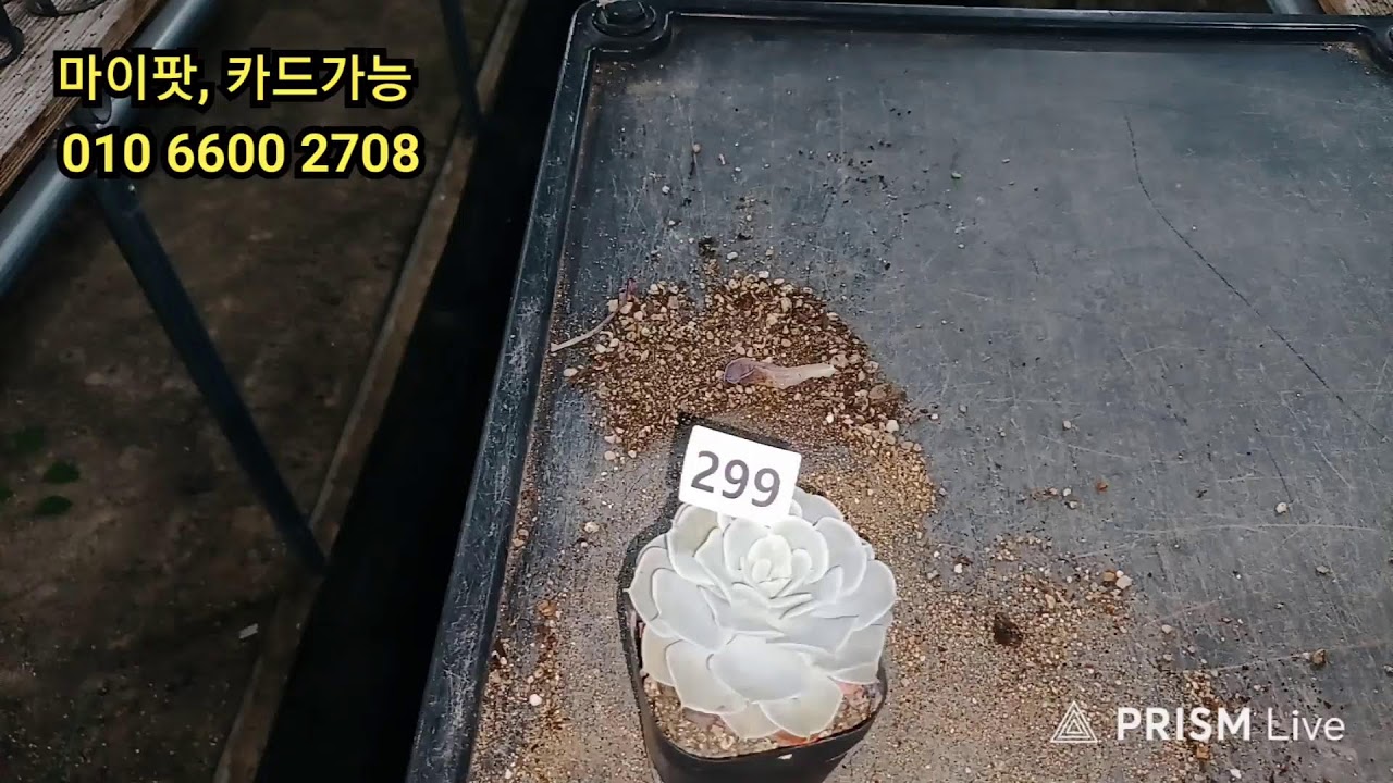2월23일   7시땡땡   모이셔요,     비가오네요 굿모닝  ~~~~~