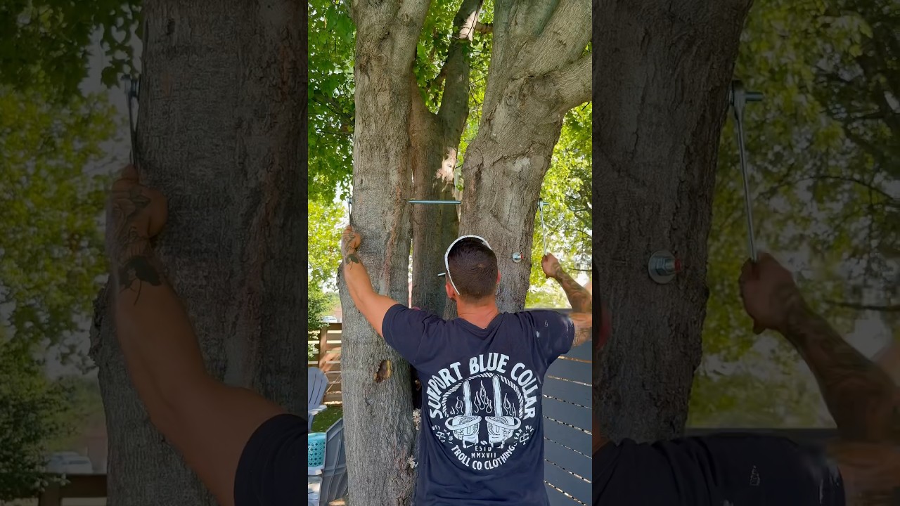 Preventing Tree From Splitting #treeservice #treecare #treebrace #tree #brace#landscaping #treework
