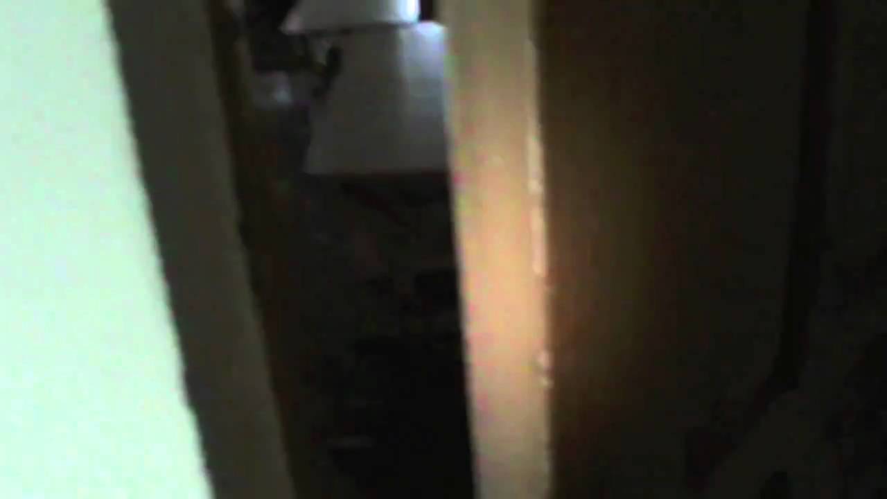 Saugus internetas.mov