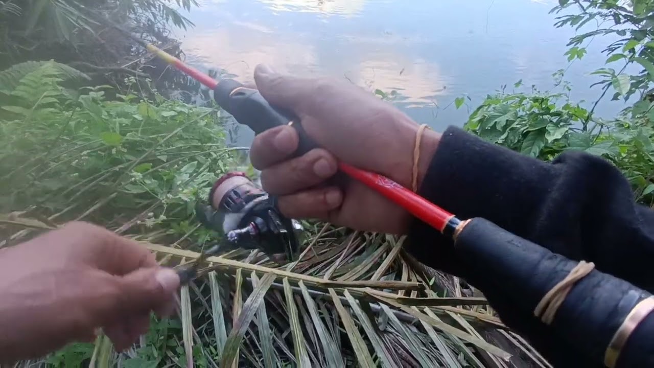 casting hamapala lagi