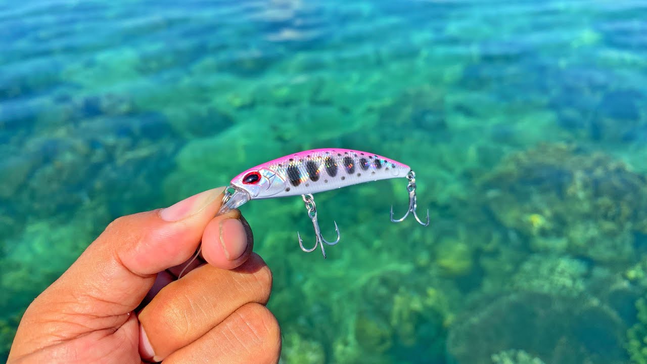 Mancing Casting di Karang Dangkal, Strikenya bikin Ketagihan
