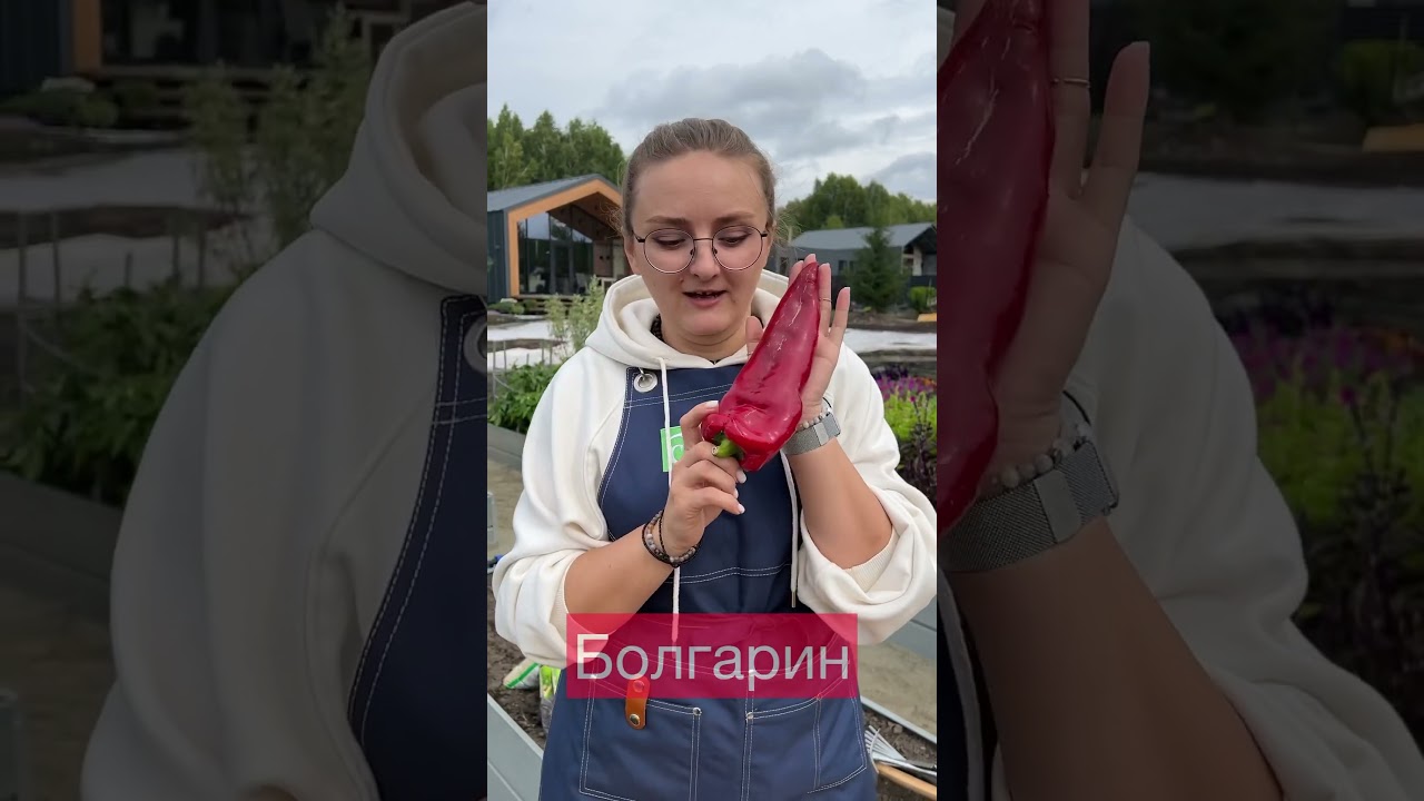 Топ-3 урожайный сладких перца ❤️