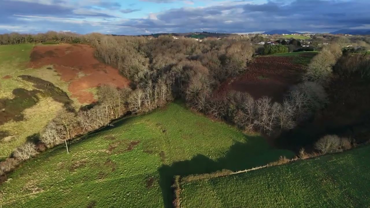 DJI NEO 2