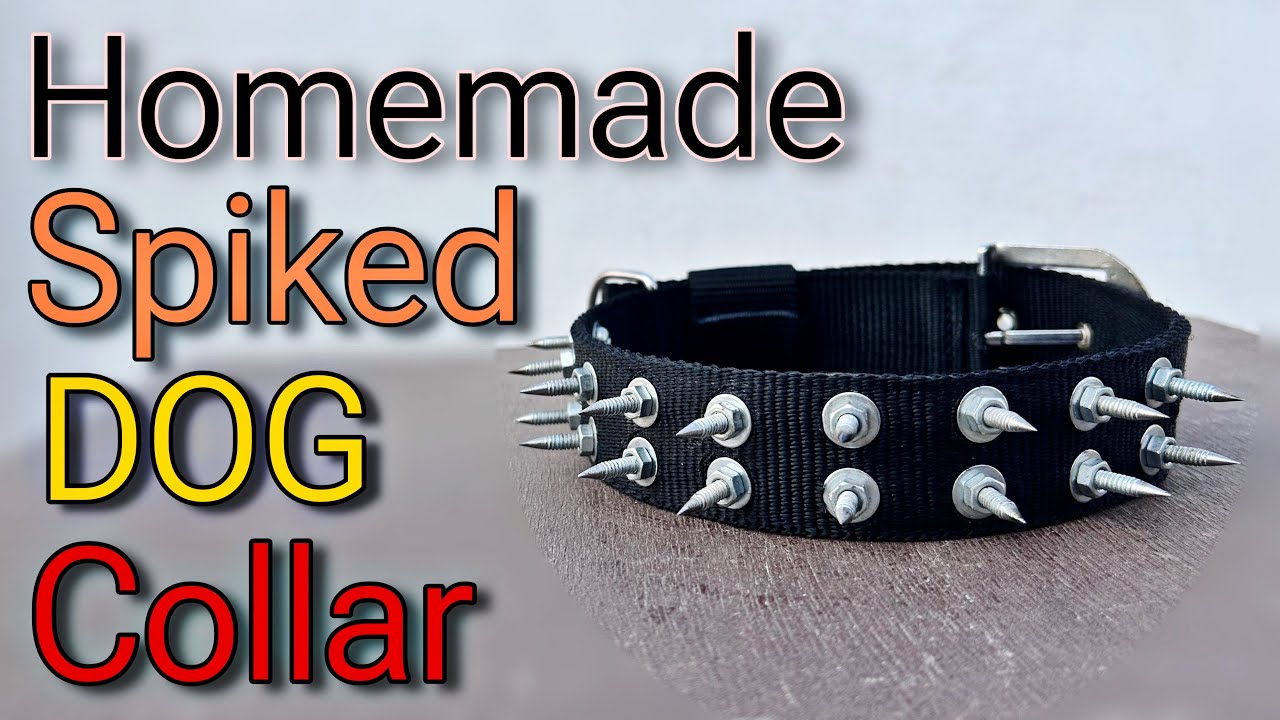 घर बनाएँ शानदार DOG Collar || How To Make Dog Collar At Home 