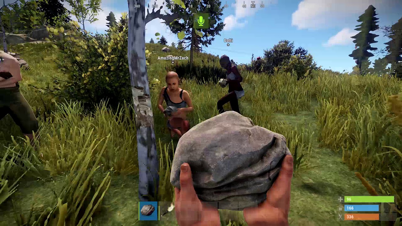 Rust- When's Wipe?
