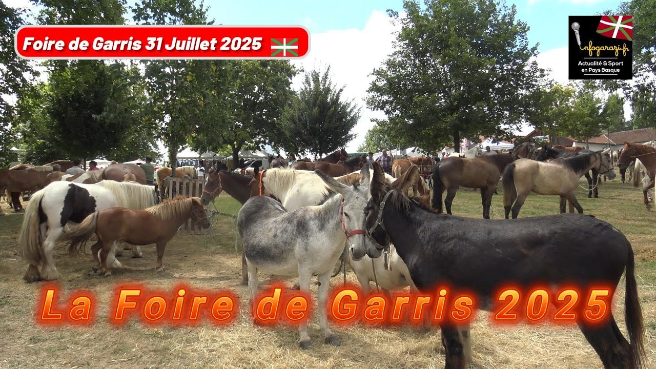 La Foire aux chevaux à Garris 31 Juillet 2025