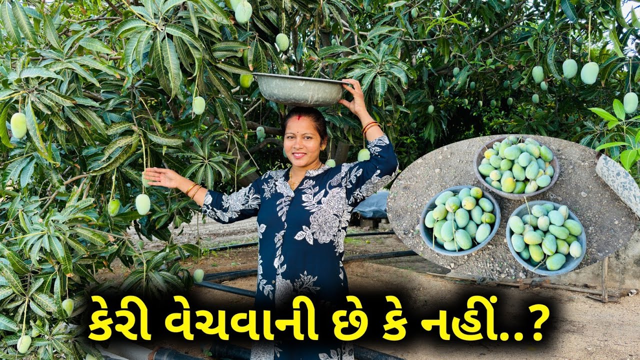 આ વખતે કેરી વેચવાની કે નહીં...?