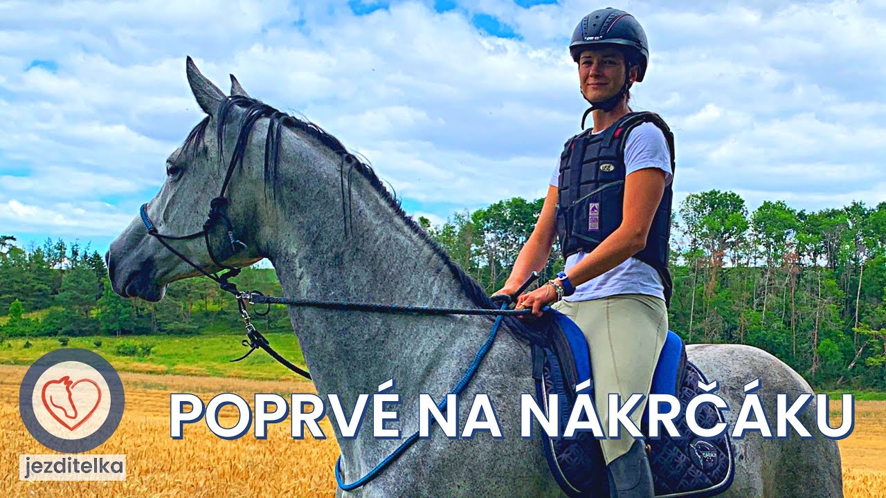 PŘÍPRAVA KONĚ NA PRVNÍ VYJÍŽĎKU NA NÁKRČÁKU