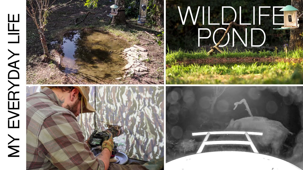 I built a WILDLIFE POND for BIRD PHOTOGRAPHY in my backyard -The sad story & DIY ground pod