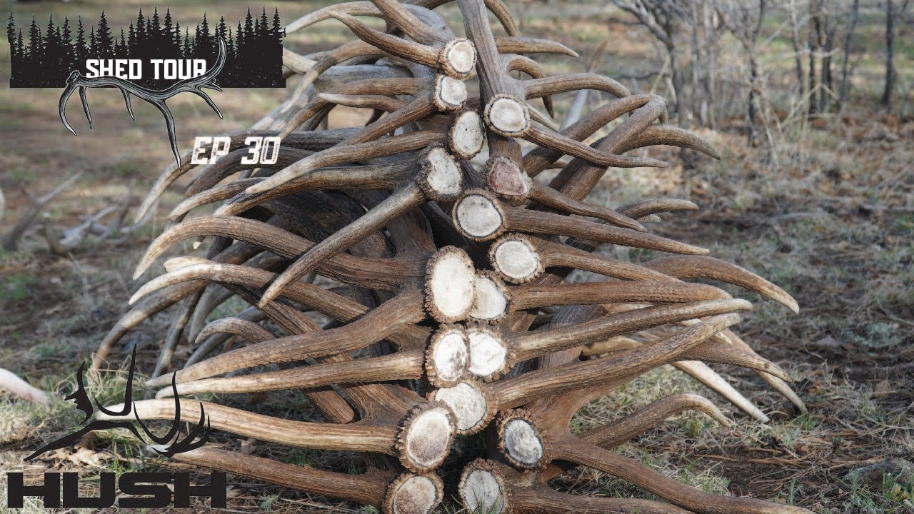 SHED TOUR | THE PILE IS GETTING BIGGER! | S3E30
