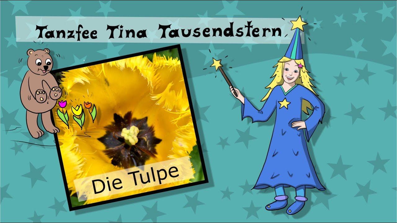 Die Tulpe - Wissen für Kinder 🌷