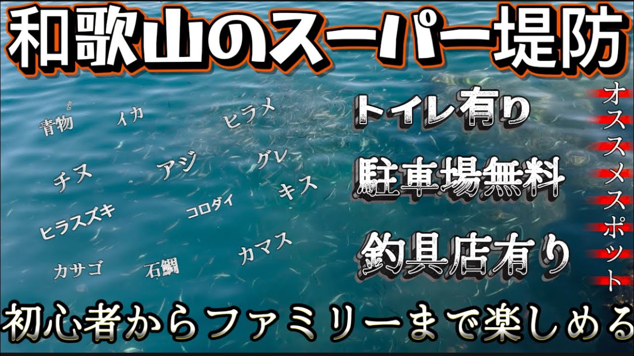 【最強スポット案内】魚影も濃く透明度バツグン✨みて！みて！みてぇぇー‼️