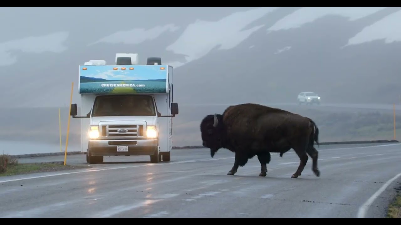 Cruise America&reg; RV Rentals :17