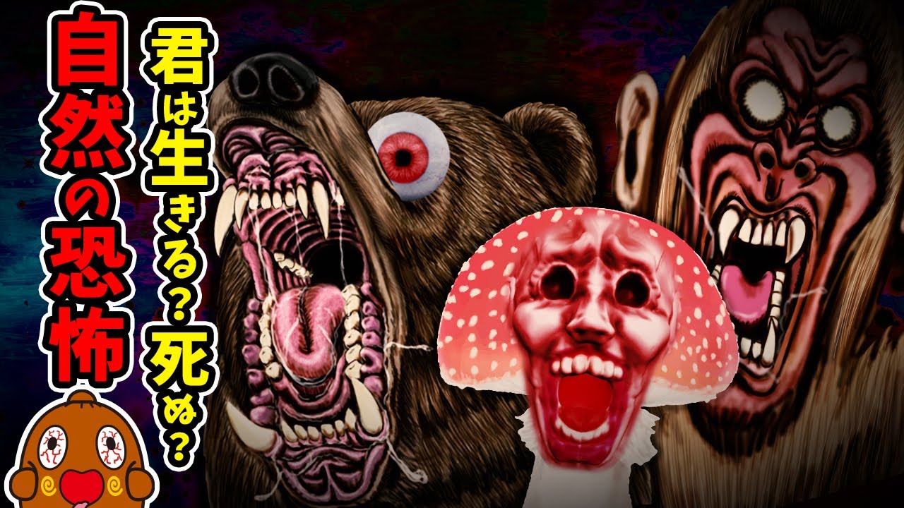 自然の恐怖!! 君は生きる?死ぬ??サバイバルクイズ まとめ