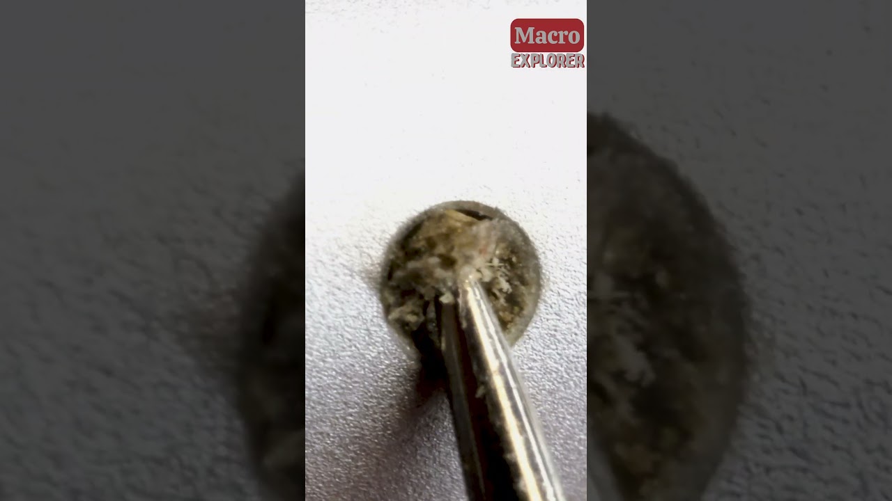 Cleaning Iphone Speakers Close-Up! #closeup #macro #asmr #zoom