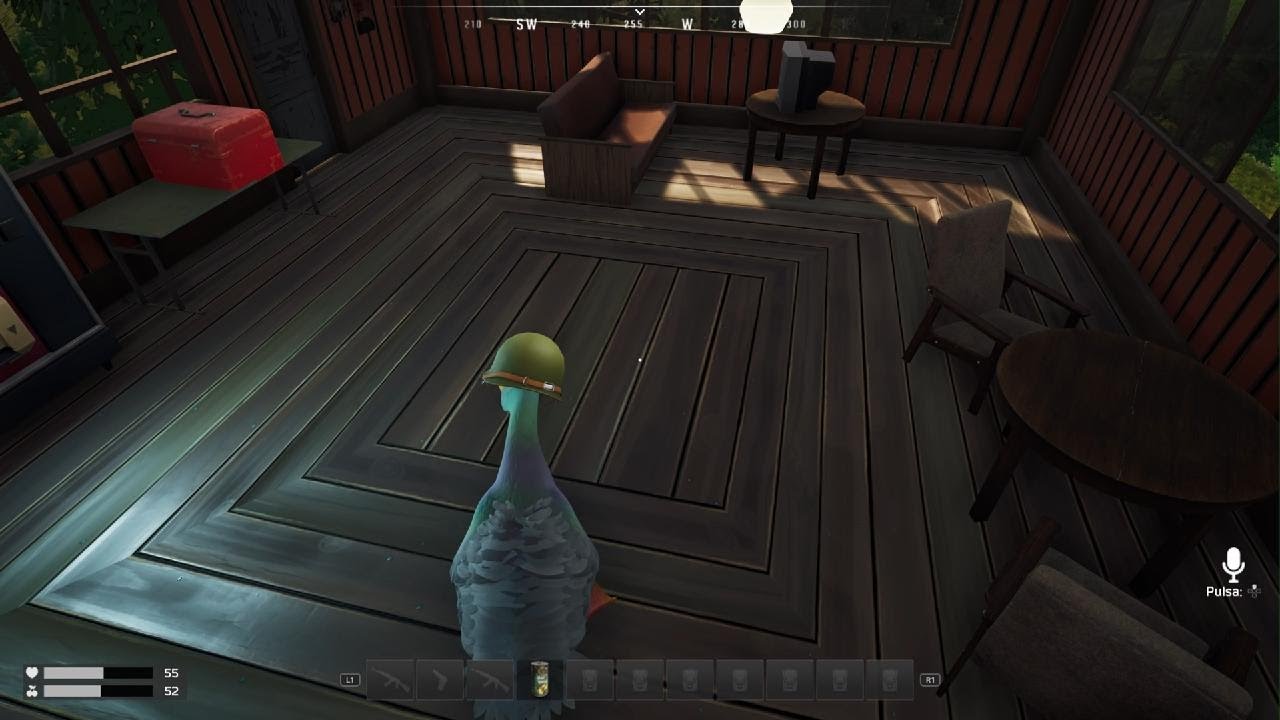 DUCKSIDE_20260310214123