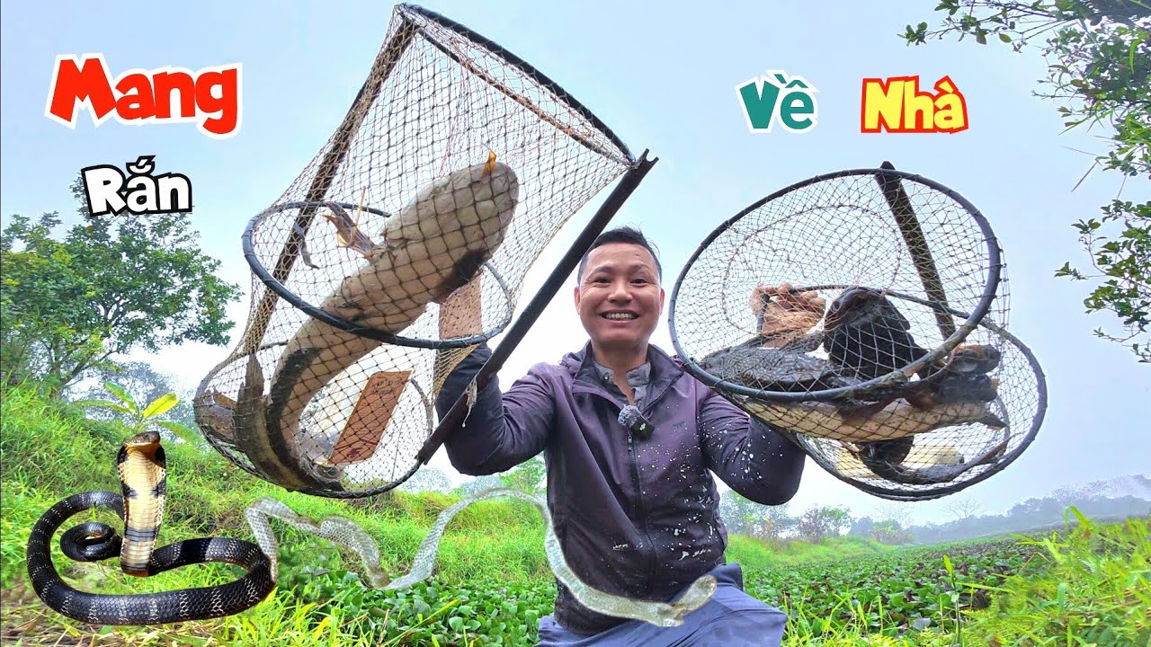 Bắt Được Con Cá To Ở Mương Nước Giữa Đồng Và Quyết Định - Mang Xá..c Rắn Về Nhà / Quế Nghịch
