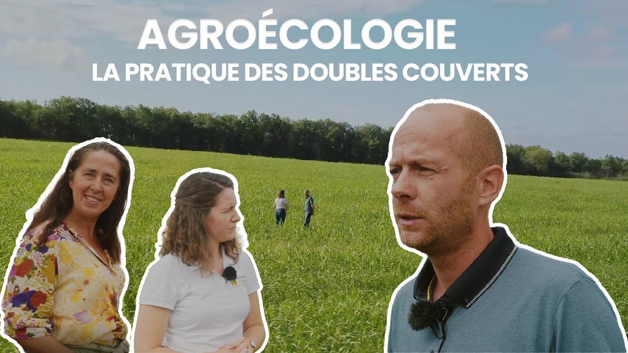 Agroécologie : l'intérêt des doubles couverts par François Parayre | Les pieds dans les champs