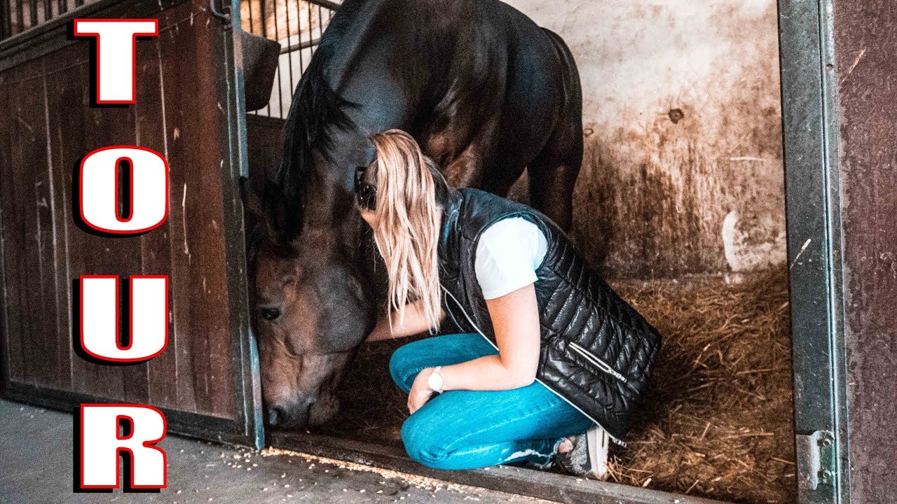 LOVARDA TOUR! | Enjoy bemutat&aacute;sa