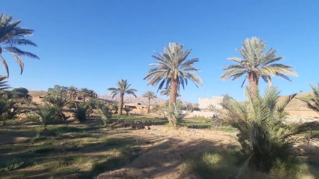 @زاكورة