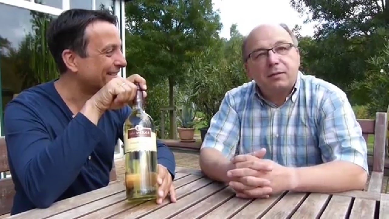 wojtun.com: Weingut G&auml;lweiler Grauer Burgunder