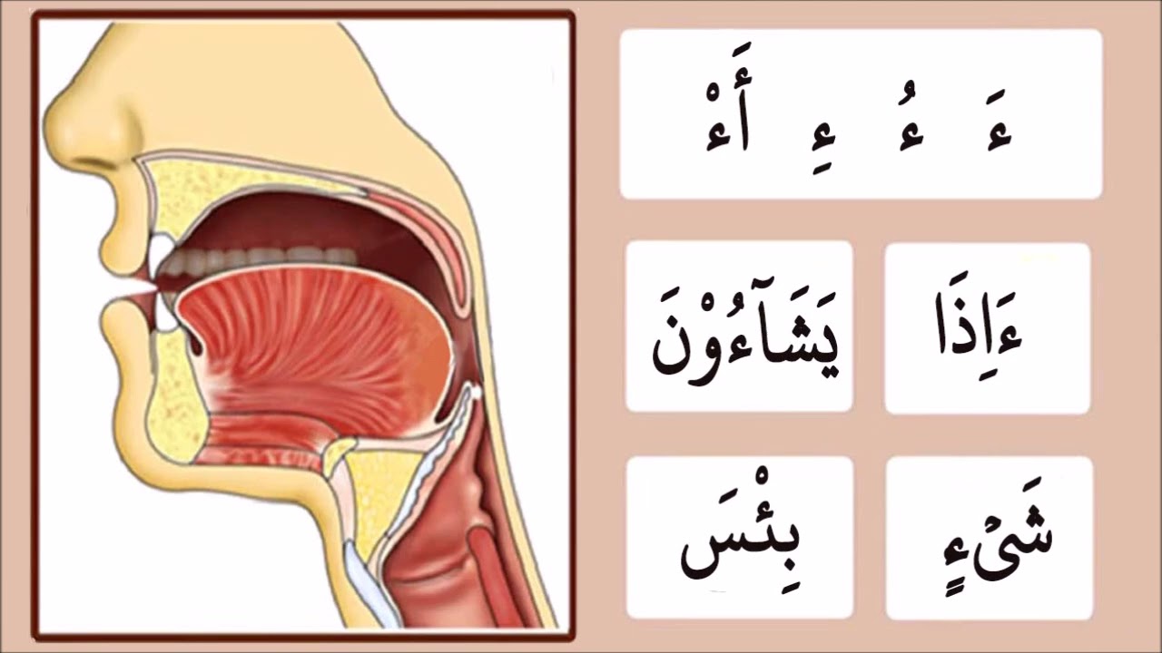 letter ء