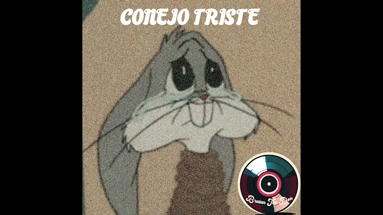 BRAIANTHEDON | CONEJO TRISTE MIX | BAD BUNNY MIX