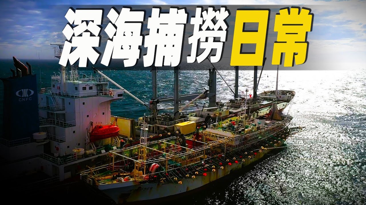 令人驚嘆的深海捕撈日常，全世界最大的捕魷船如何捕捉魷魚？格陵蘭最大的捕蝦船如何捕捉北極蝦 #大脑洞记事