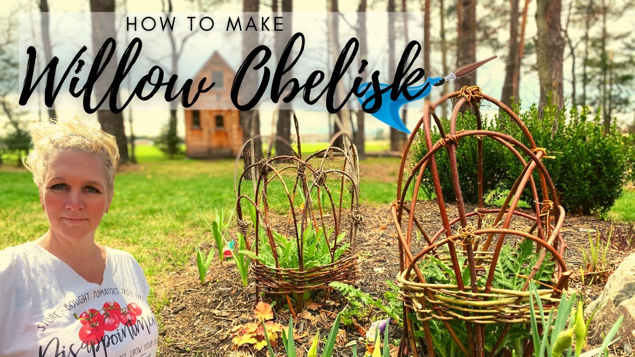 WILLOW PLANT SUPPORT/Weaving Willow