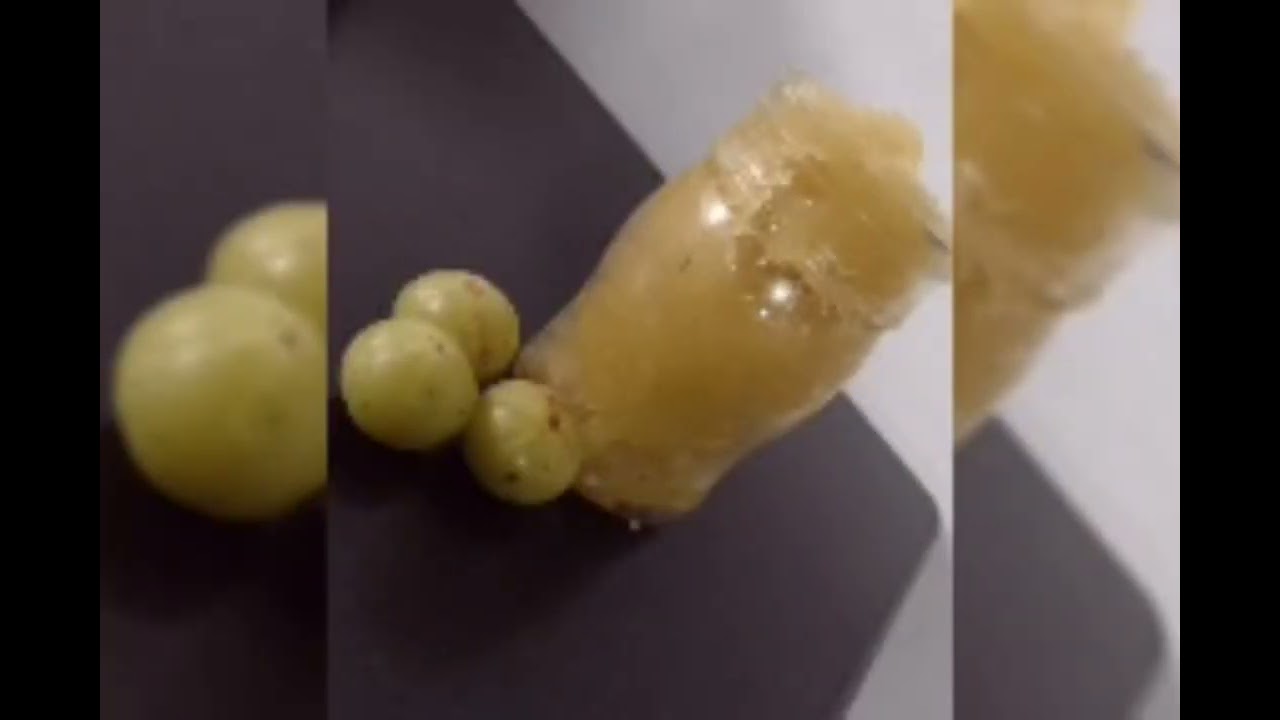 FOOD PROCESSING _ RTE - AMLA (JAM, PRESERVES & HONEY AMLA)