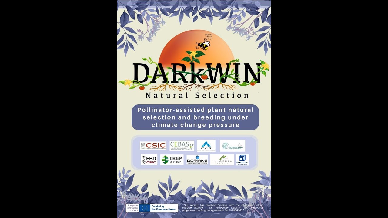 DARkWIN Natural Selection