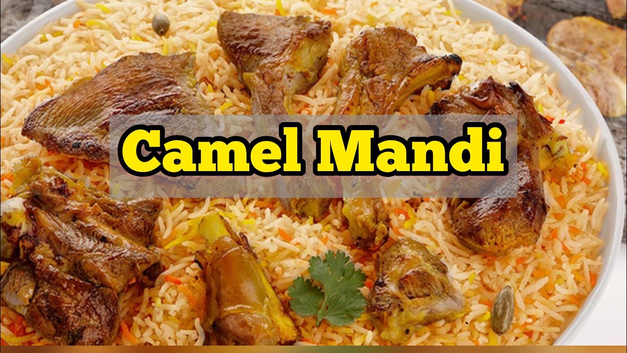 Camel Mandi || Food And Travel By Shazjango