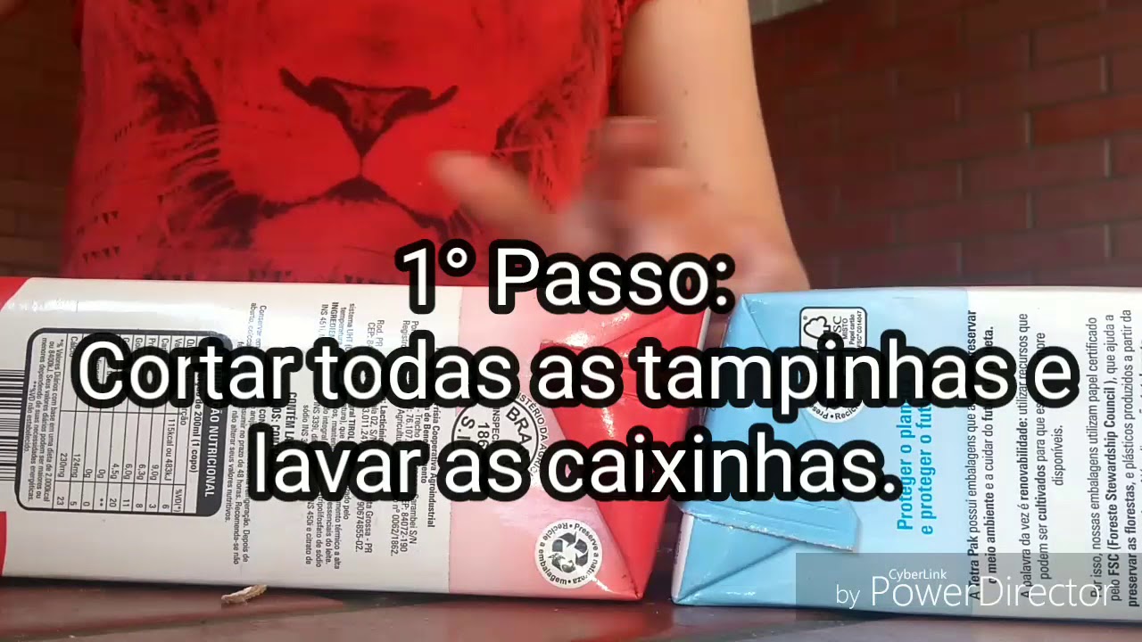 COMO MONTAR CASINHA DE CACHORRO COM CAIXAS DE LEITE