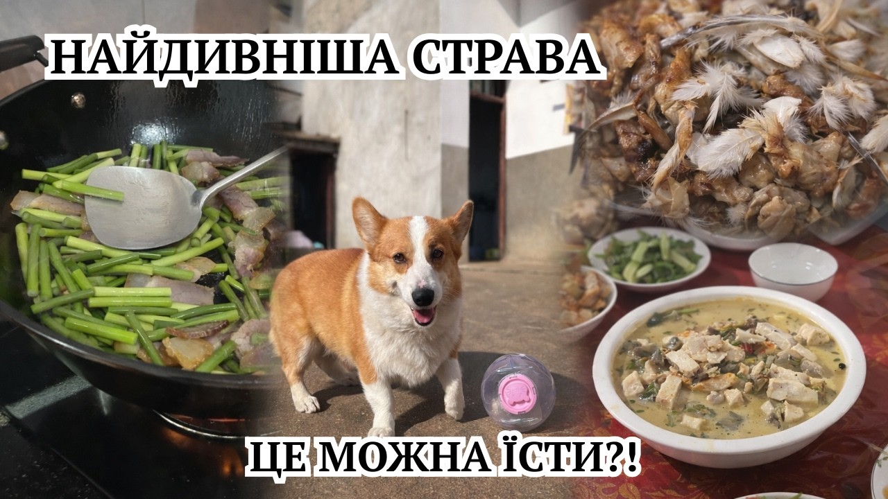 СТРАВА З ПІР’Я?! 😳 Останній день у СЕЛІ | Дивна риба та сімейний влог