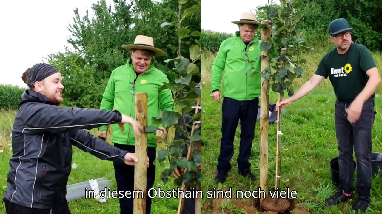 Baumpflanz-Challenge der 