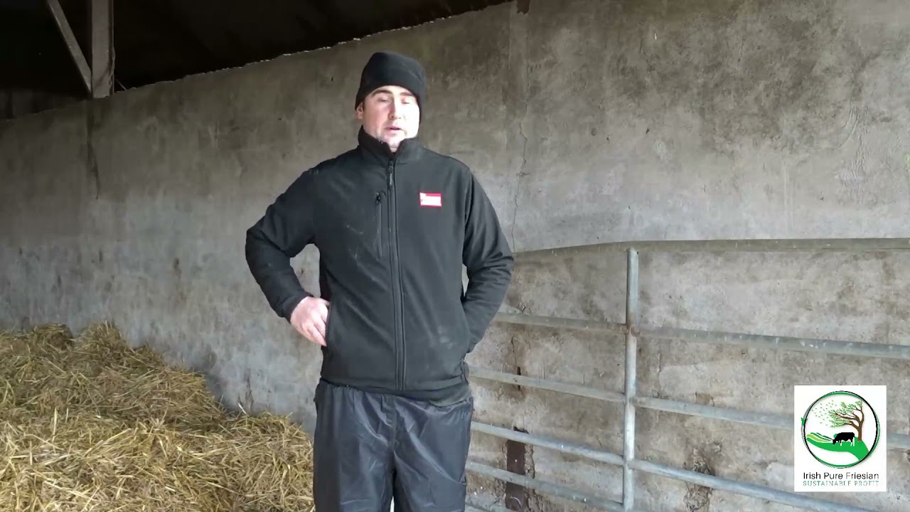 Irish Pure Friesian Club video series. This episode from Churchclara Herd, Co. Kilkenny
