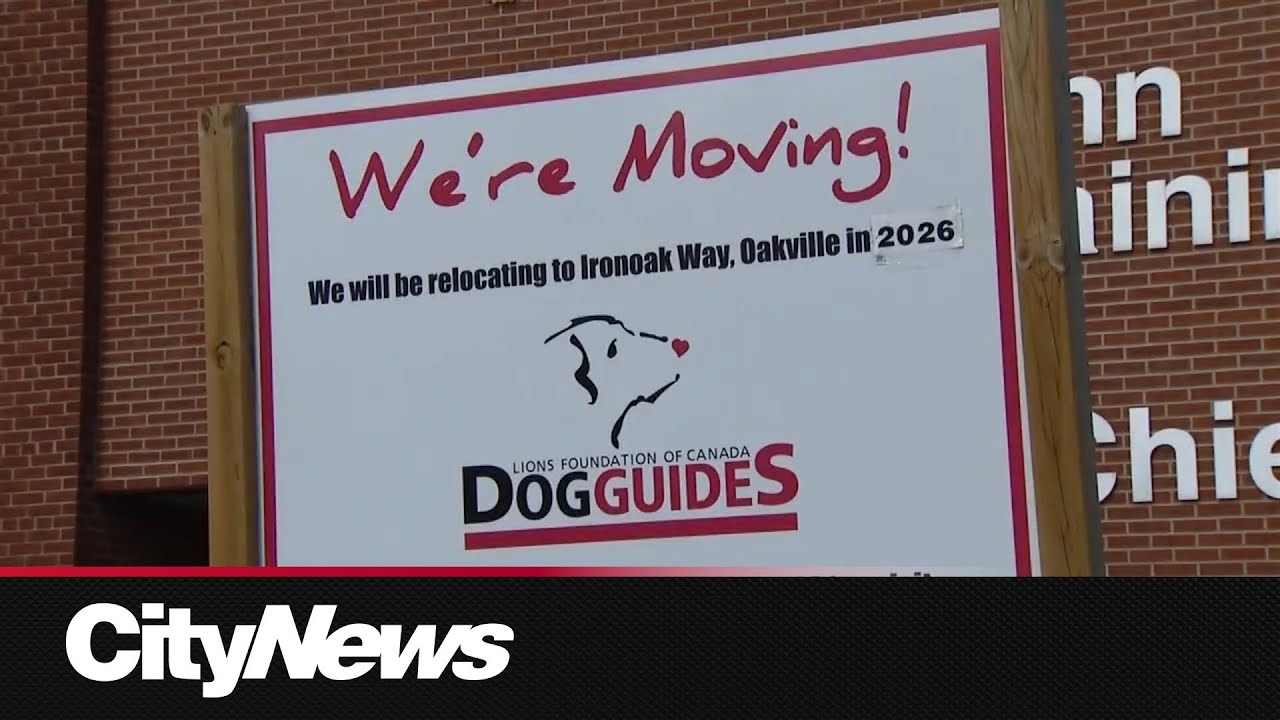 Ford government looking at options to help guide dog training centre
